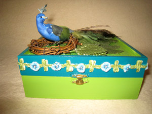 Peacock Nest Box