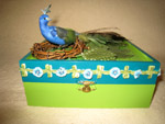 Peacock Nest Box